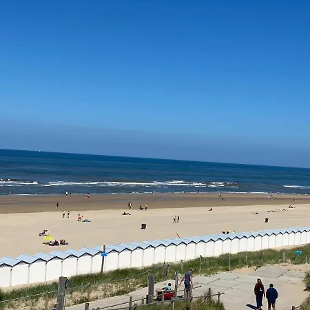 Cozy Tiny House Egmond Aan Zee- 500M From Beach-North Sea Exterior photo